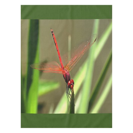 Schöne Firecracker Dragonfly Akryllische Malerei Tischdecke (Vorderseite)