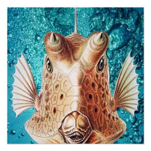 Schöne Fisch Kunst vom Earnst Haeckel Poster (Vorderseite)
