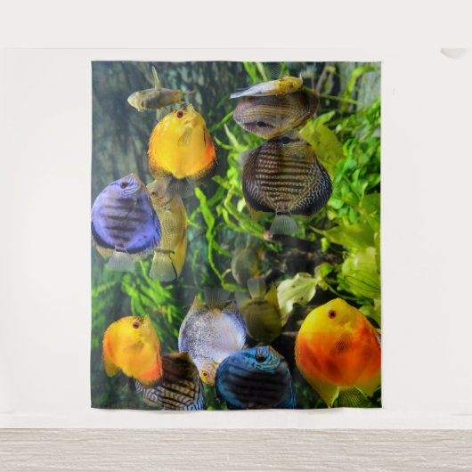 SCHÖNE FISCHE FOTO-BACKDROP WANDTEPPICH (Vorderseite)