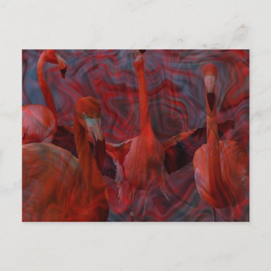 Schöne "Flamingo Dance" Pink Postcard Postkarte (Vorderseite)