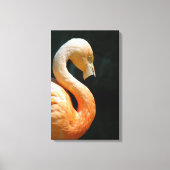 Schöne Flamingo Wrapped Canvas! Leinwanddruck (Vorderseite)