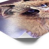 Schöne, flauschige Katze Fotodruck (Ecke)