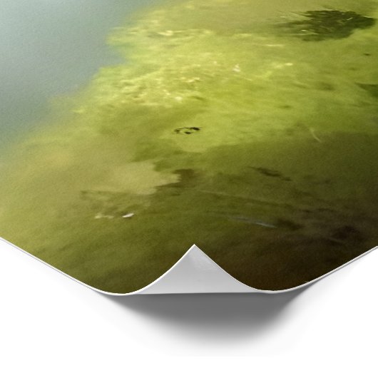 Schöne, flauschige Katzenmalerei Poster (Ecke)