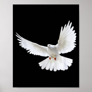 Schöne fliegende friedliche weiße Taube Foto Silho Poster