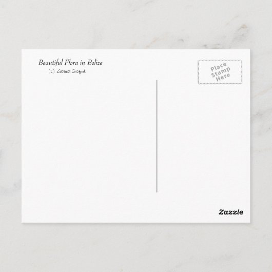 Schöne Flora in Belize Postkarte (Rückseite)