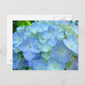 Schöne florale Postkarten Pastel Blue Hydrangeas (Vorne/Hinten)