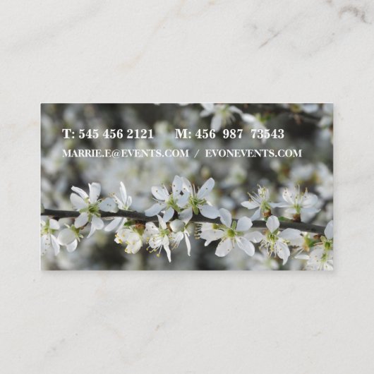 Schöne florale Visitenkarte (Rückseite)