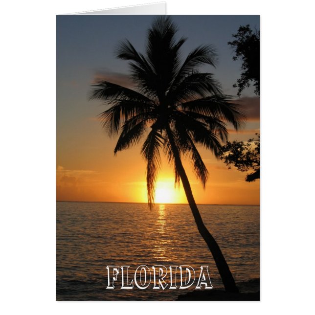 Schöne Florida (Vorne)