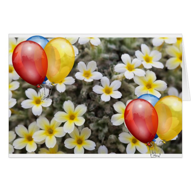 SCHÖNE FLÜSSIGKEIT (Vorderseite (Horizontal))