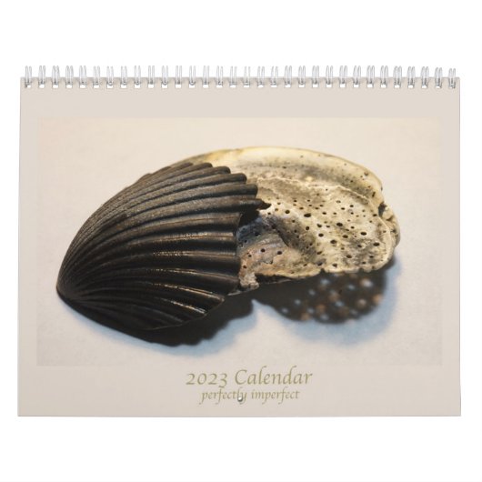 Schöne Foto gebrochener Muscheln Kalender (Titelbild)