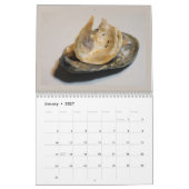 Schöne Foto gebrochener Muscheln Kalender (Jan 2027)