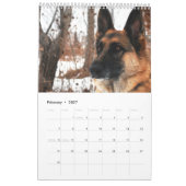 Schöne Fotos der deutschen Hirte Kalender (Feb 2027)