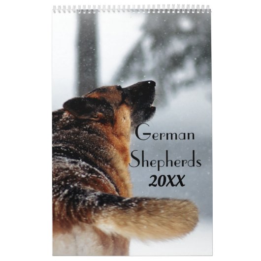 Schöne Fotos der deutschen Hirte Kalender (Titelbild)