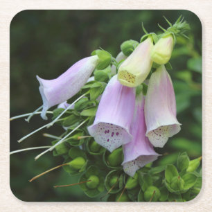 Schöne Foxglove Blume Rechteckiger Pappuntersetzer