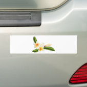 Schöne Frangipani- oder Plumeria-Blumen Autoaufkleber (Auf Auto)