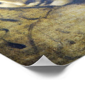 Schöne Frau von Leonard Davinci drucken Poster (Ecke)