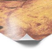 Schöne Frau von Leonardo da Vinci Fotodruck (Ecke)