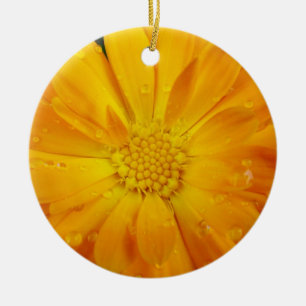 schöne, frische gelbe Gänseblümchen-Blumen-Feierta Keramikornament
