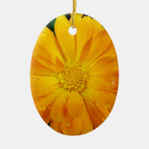 schöne, frische gelbe Gänseblümchen-Blumen-Feierta Keramikornament