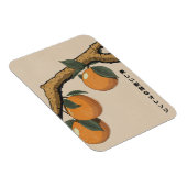 Schöne frische Orangen Magnet (Rechte Seite)