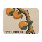 Schöne frische Orangen Magnet (Horizontal)
