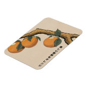 Schöne frische Orangen Magnet (Linke Seite)