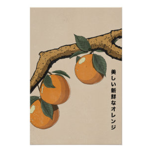 Schöne frische Orangen Poster