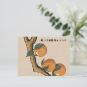 Schöne frische Orangen Postkarte (Stehend Vorderseite)