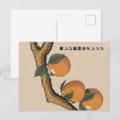 Schöne frische Orangen Postkarte (Vorne/Hinten)