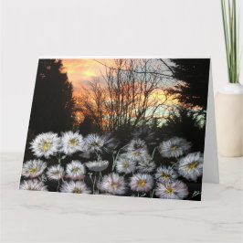 Schöne, frische Speisen gegen den Sonnenuntergang  Karte