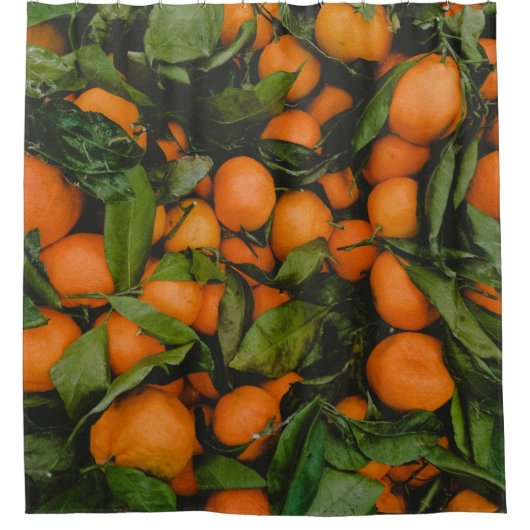 Schöne Früchte Duschvorhang (Vorderseite)