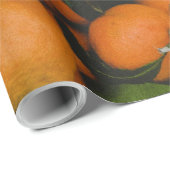 Schöne Früchte Geschenkpapier (Rolleneckpunkt)