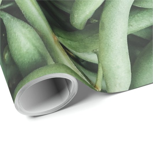 Schöne Früchte Geschenkpapier (Rolleneckpunkt)