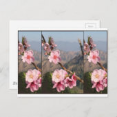 Schöne Fruchtplantage Blumen-Indiens UttraKHAND Postkarte (Vorne/Hinten)