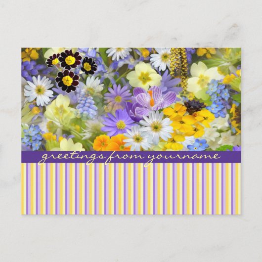 Schöne Frühlingsblumen Collage Violet Gelb Postkarte (Vorderseite)