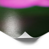 Schöne Frühlingsblumen Fotodruck (Ecke)