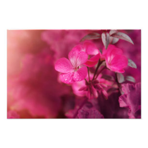 Schöne Frühlingsblumen Fotodruck