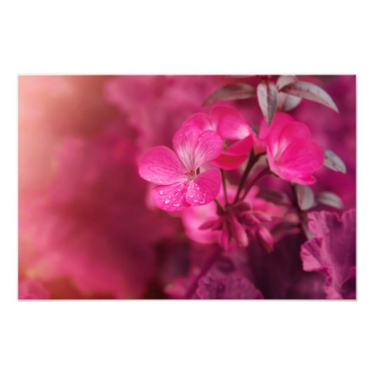 Schöne Frühlingsblumen Fotodruck (Vorne)