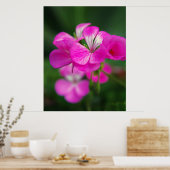 Schöne Frühlingsblumen Poster (Küche)