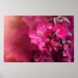 Schöne Frühlingsblumen Poster
