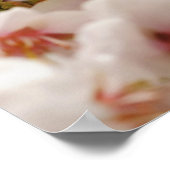 Schöne Frühlingsblumen Poster (Ecke)
