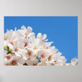 Schöne Frühlingsblumen Poster (Vorne)