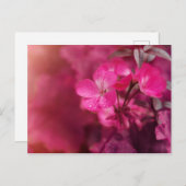 Schöne Frühlingsblumen Postkarte (Vorne/Hinten)