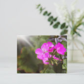 Schöne Frühlingsblumen Postkarte (Stehend Vorderseite)