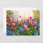 Schöne Frühlingsblumen - Tulips und Hyacinth Postkarte (Vorne/Hinten)