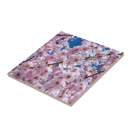 Schöne Frühlingsblüten Fliese (Seite)