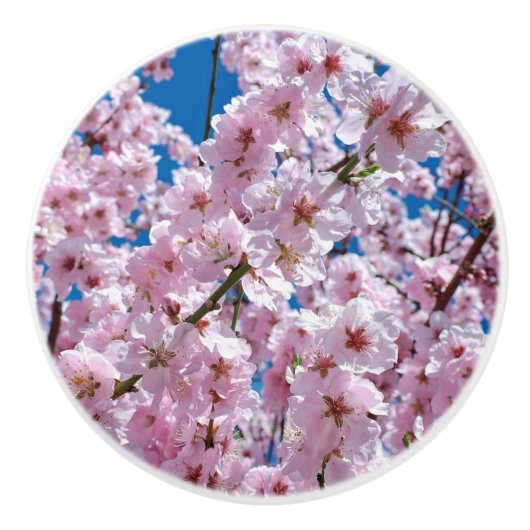 Schöne Frühlingsblüten Keramikknauf (Vorderseite)