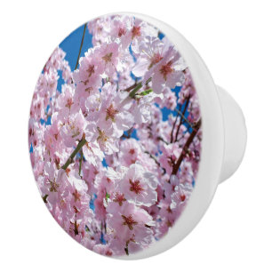 Schöne Frühlingsblüten Keramikknauf