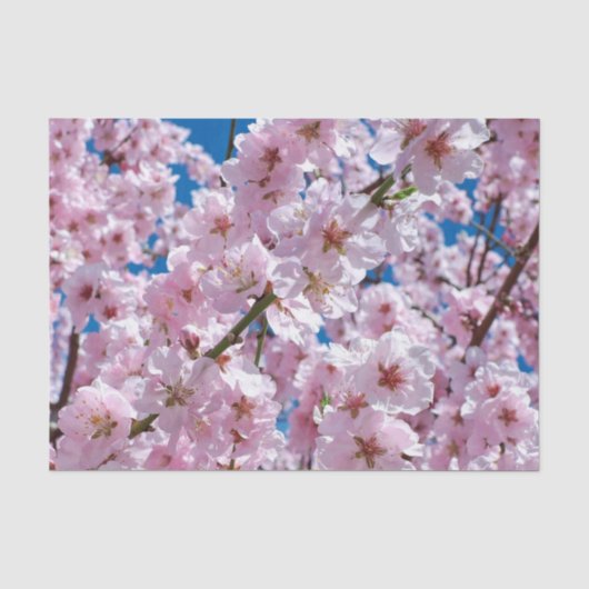 Schöne Frühlingsblüten Seidenpapier (Vorderseite)