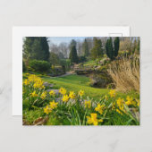 Schöne Frühlingsdaffodien Postkarte (Vorne/Hinten)
